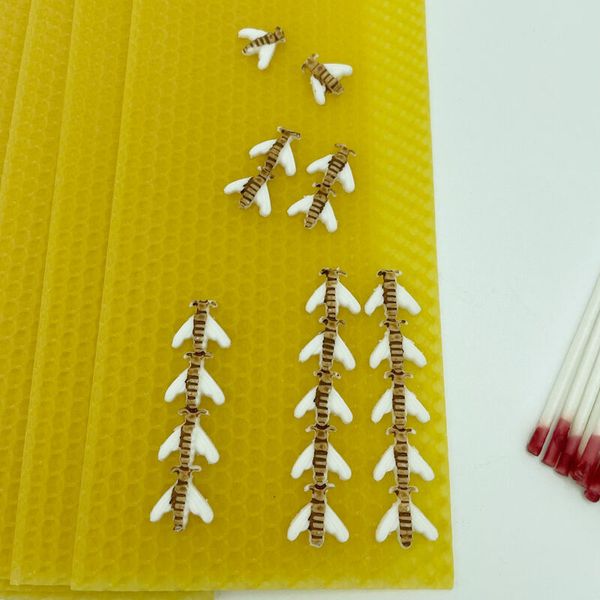 Bienenwachswabenset, 50-teilig, Docht und Wachsbienen Bienenwachswabenset, 50-teilig, Docht und Wachsbienen