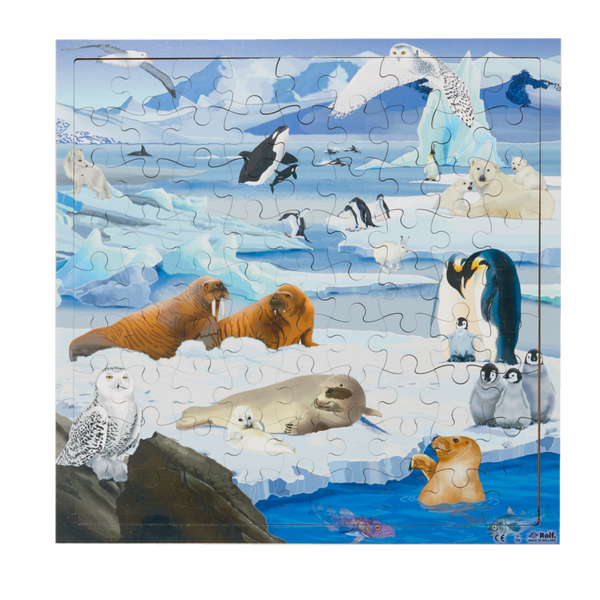 ROLF EDUCATION Interaktives Puzzle Polargebiete, 81 Teile, Holz, ab 4 Jahre
