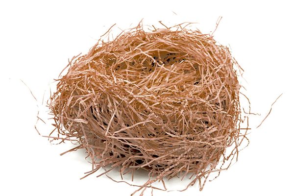 Nest, Vogel nest, Gestrickte Zweige, Webnester, Natürliches Material