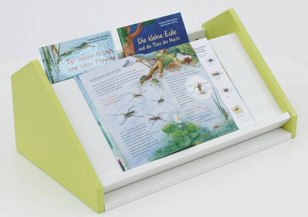 Kindlertafel, Lernkartei, Bio-Bücher, Spinnenkunde, Experimentiermaterial