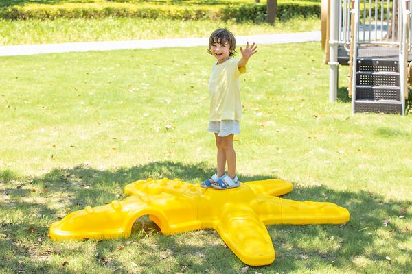 Balancierelement See-Stern Balancierelement See-Stern