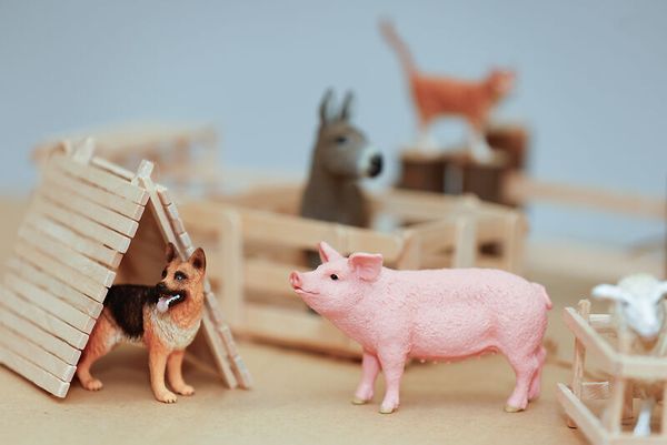 Schleich® Bauernhoftiere-Set, 9-teilig Schleich® Bauernhoftiere-Set, 9-teilig