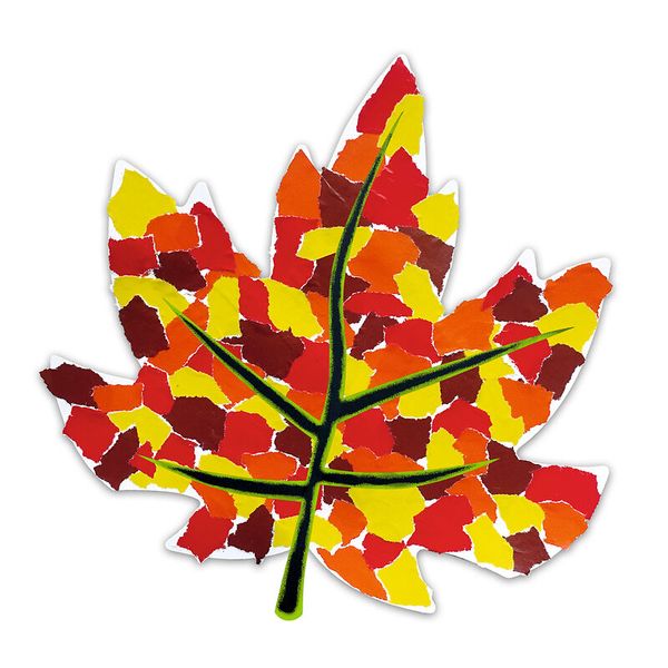 Blanko-Motive Herbstblatt, Karton, 20 Stück, 22,5 x 21 cm