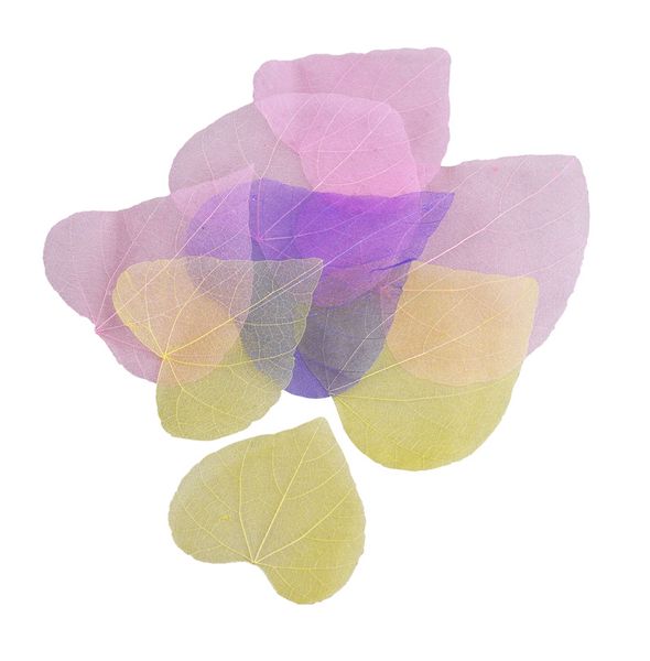 Blätter, Farben, Transparente Blätter, Herbstfarben, Mehrfarbig