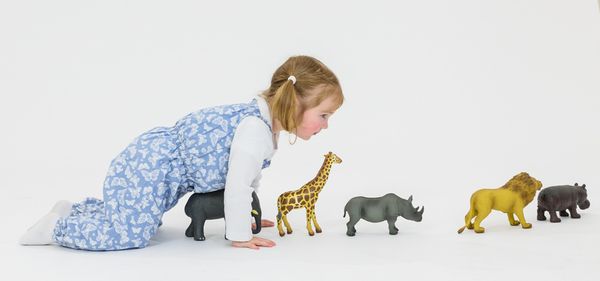 BETZOLD Wilde Tiere, 6-teiliges Set
