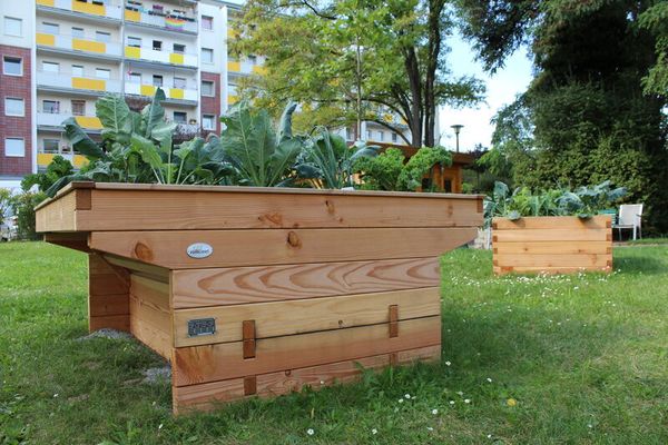 Hochbeet "Vis-á-Vis" - Rollibeet, beidseitig unterfahrbar, B: 120 cm, für 2 Personen Hochbeet "Vis-á-Vis" - Rollibeet, beidseitig unterfahrbar, B: 120 cm, für 2 Personen