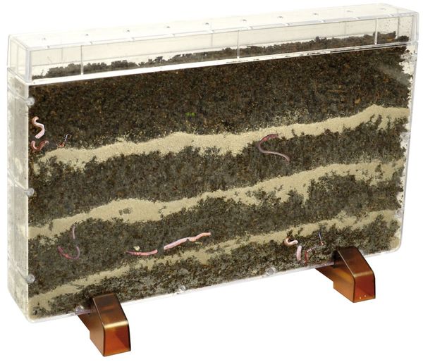 earthworm bin, worm habitat, vermiculture, castings tray, transparent enclosure