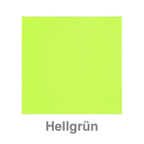 Schlafblume mit hohem Rand, Kunstlederbezug