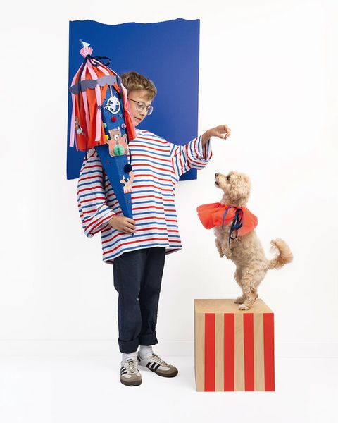 Person, Hund, Säugetier, Haustier