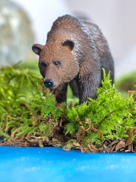 BETZOLD Nordamerikanische Tiere, 12-teiliges Set