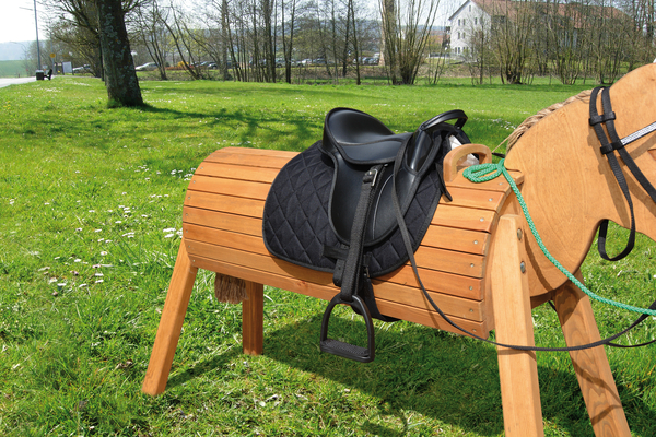 Sattel, Pferdesattel, Ledersattel, Sattelgurt, Reitsport