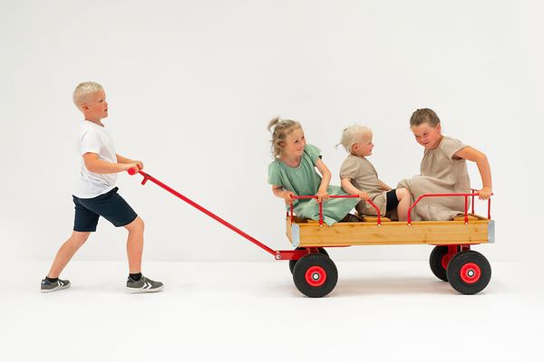 ROSE Bollerwagen, Größe und Bereifung wählbar