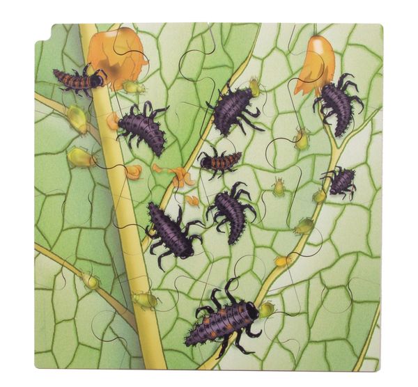 Circle of life Puzzle, Marienkäfer, Holz, 86 Teile, ab 3 Jahre Circle of life Puzzle, Marienkäfer, Holz, 86 Teile, ab 3 Jahre