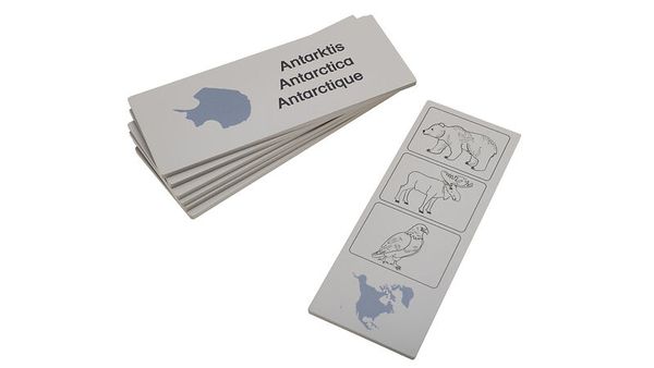 BETZOLD Kontinente-Box, 37 Teile