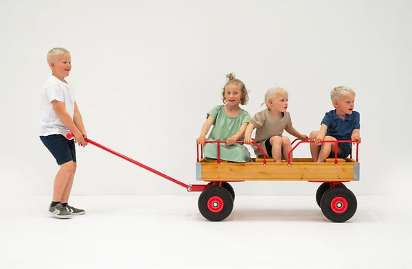 ROSE Bollerwagen, Größe und Bereifung wählbar