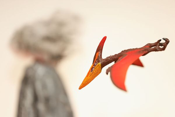 fliegendes spielzeug, roter dinosaurier, pterosaurier, modell, kunstobjekt