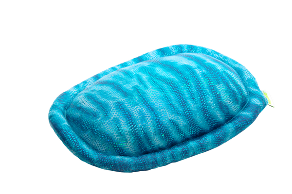 Gewichtstier Schildkröte 2in1, 2 kg Gewichtstier Schildkröte 2in1, 2 kg