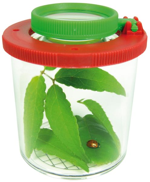 Jardiniere, Insektenfalle, Blätter, Glasbehälter, Käfer-Lebensraum