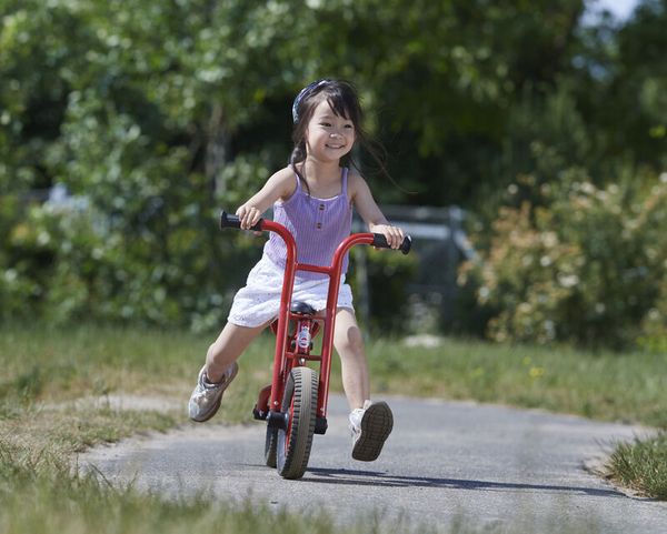 WINTHER VIKING BikeRunner large mit niedrigem Einstieg, 4-7 Jahre