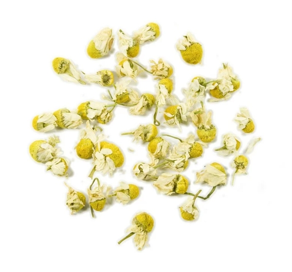 Kamille, Kamilleblüte, Trockenblumen, Pflanzenmaterial, Blumenknospen