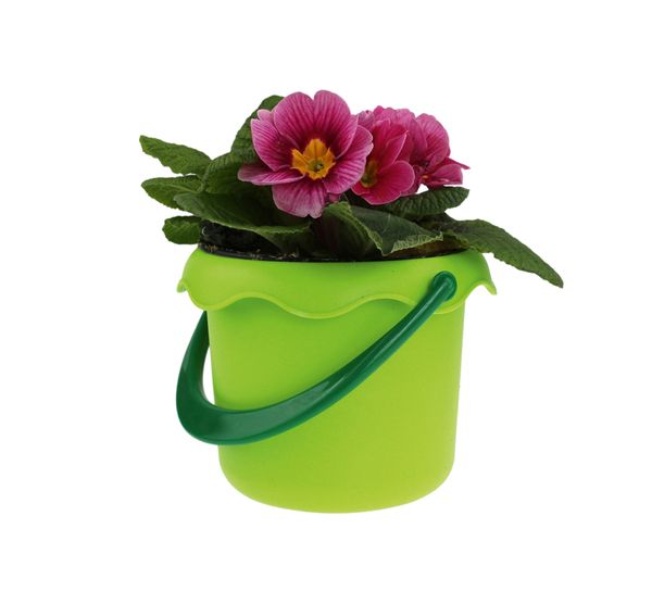 Eimerchen, grün, 12 Stück Eimerchen, grün, 12 Stück