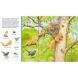 Vögel, Vogelleben, Tierwelt, Baumstamm, Kinderbuch-Illustration