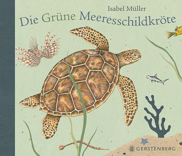 Schildkröte, Buchcover, Grüne Meeresschildkröte, Unterwasserwelt, Tierillustration