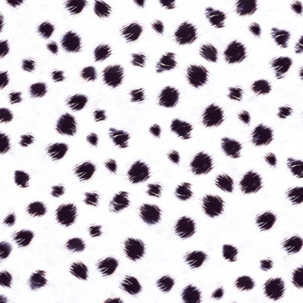 FOLIA Tierfell-Karton, 50x70 cm, 300 g/m², 10 Bogen