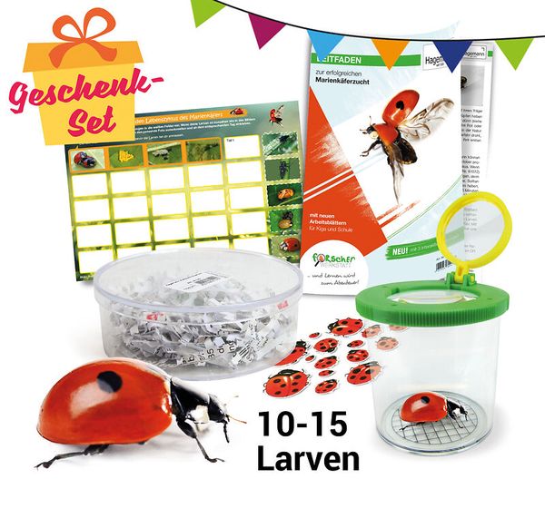larven, insecten, zuchtset, koffer, organizer
