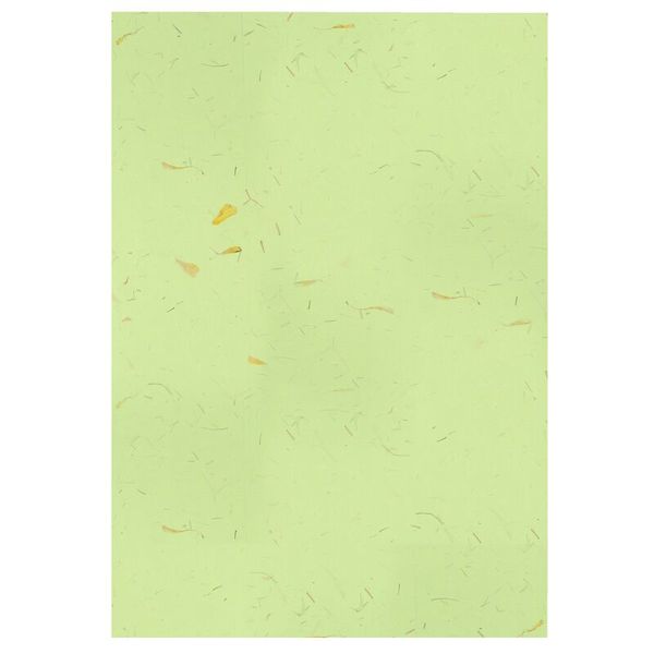 Naturpapier, 10 Motive, handgeschöpft, 33 x 23 cm