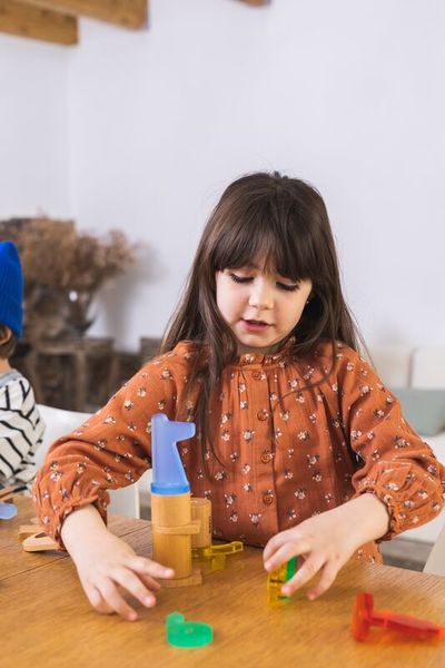 Magnetisches Konstruktionsspielzeug "Imaginary Fauna Box", 50-teilig (3-8 Jahre)