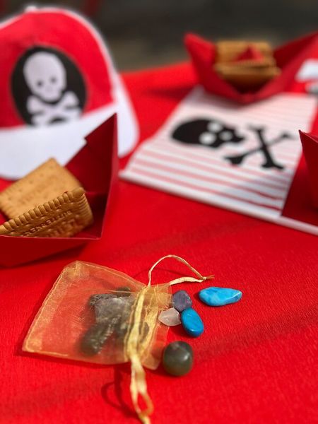 Piratenschatz im Organzabeutel Piratenschatz im Organzabeutel