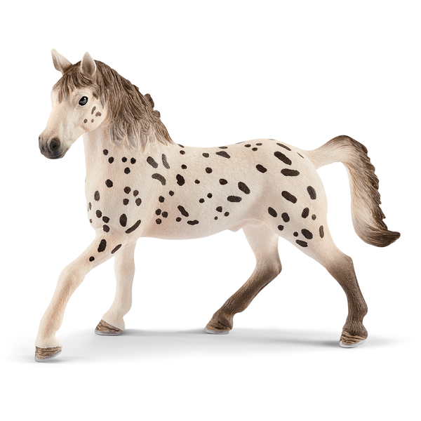 Schleich® Knabstrupper Hengst (SONDERANGEBOT) Schleich® Knabstrupper Hengst (SONDERANGEBOT)