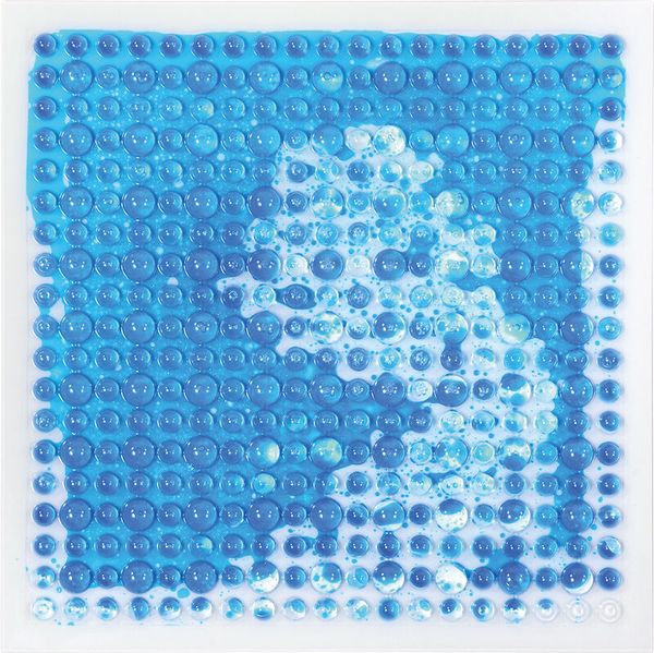 Sensorik Platten Liquid, 6 Stück