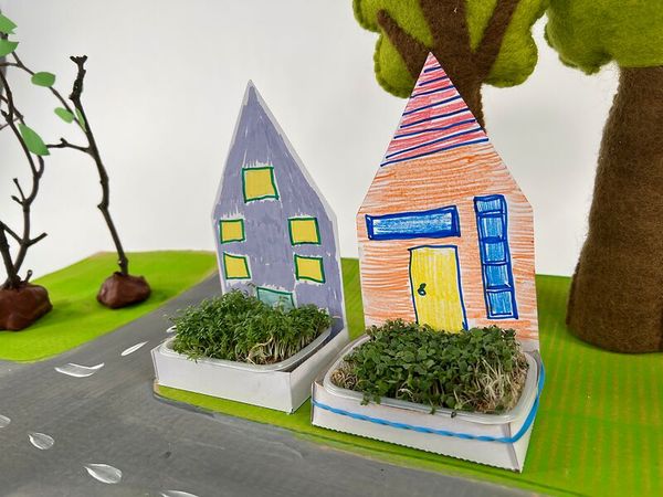Pflanze, Kunstpflanze, Mini-Garten, Modellhaus, Dächer