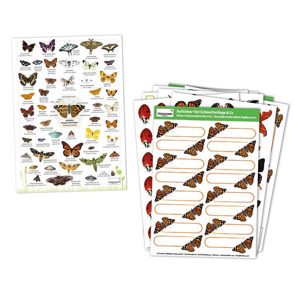 Schmetterling, Poster, Bildersammlung, Naturkunde, Beschriftung
