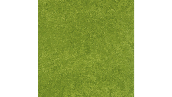 BETZOLD EduCasa Podest-Rechteck, 150x75cm