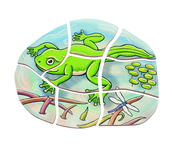 5-Lagenpuzzle Frosch, Holz, 28 Teile, ab 4 Jahre 5-Lagenpuzzle Frosch, Holz, 28 Teile, ab 4 Jahre