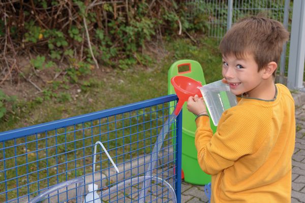 Gitterwand fahrbar Gitterwand fahrbar