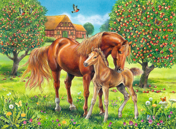 Pferd, Pony, Kultivierte Landschaft, Apfelbaum, Sommer