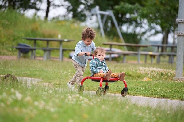 Kinderwagen, Garten, Spielzeug, Wagon, Hochstuhl