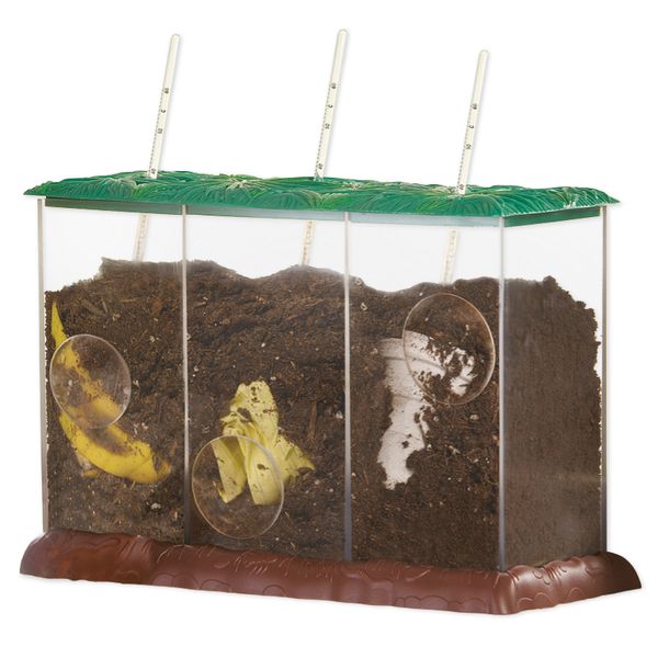 Terrarium, Insektenbeet, Feuchtbereich, Transparent, Palänthermie