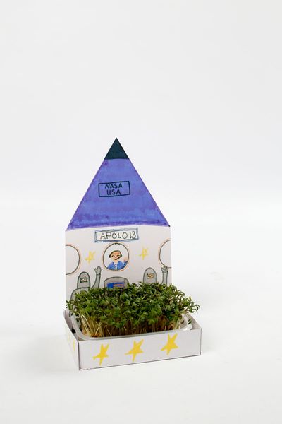 gravur, miniaturenvase, erdboden?, pflanze, rakete, spielzeug, papiermodell, kreativset