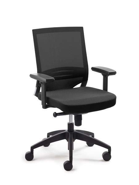 officestuhl, meshback, rollenstuhl?, schreibtischstuhl, stuhl