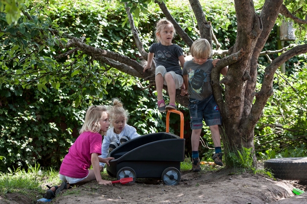 JAKOBS AKTIV Schiebewagen