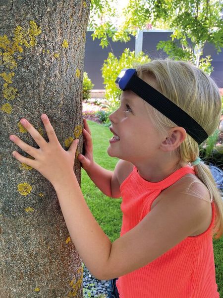 LED Stirnlampe für Kinder (farblich sortiert im Zufallsprinzip) LED Stirnlampe für Kinder (farblich sortiert im Zufallsprinzip)