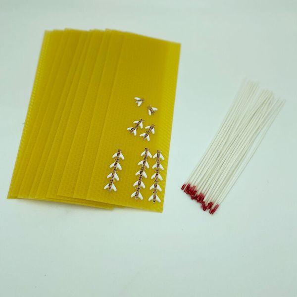 Bienenwachswabenset, 50-teilig, Docht und Wachsbienen Bienenwachswabenset, 50-teilig, Docht und Wachsbienen