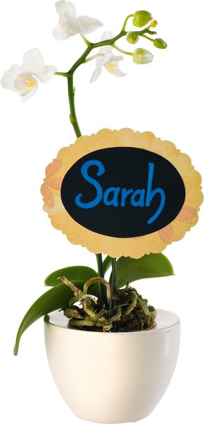 FOLIA Kreidemarker, 5 Stück FOLIA Kreidemarker, 5 Stück