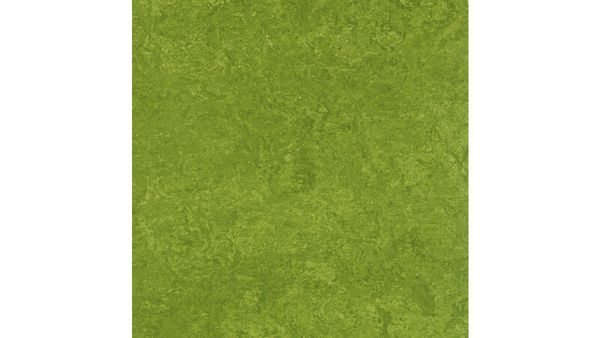 BETZOLD EduCasa Podest-Rechteck für Liegepolster, 150x75cm