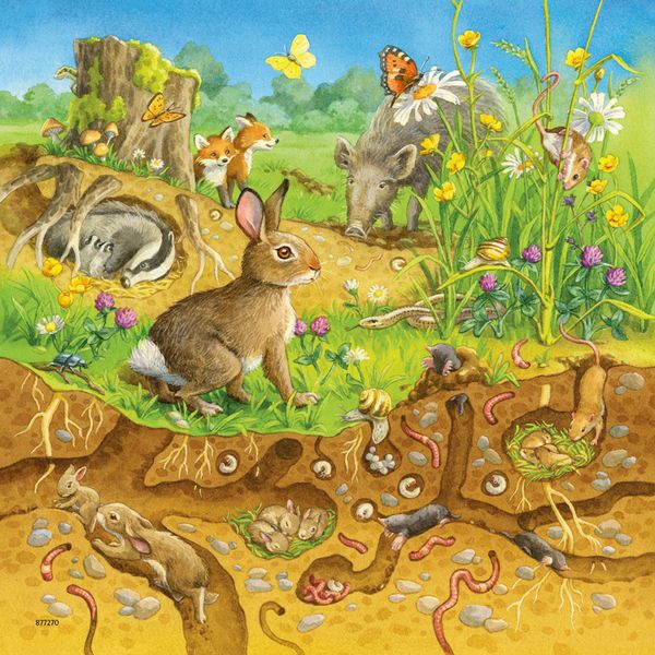 RAVENSBURGER Puzzle Tiere in ihren Lebensräumen, 3 x 49 Teile, ab 5 Jahre RAVENSBURGER Puzzle Tiere in ihren Lebensräumen, 3 x 49 Teile, ab 5 Jahre